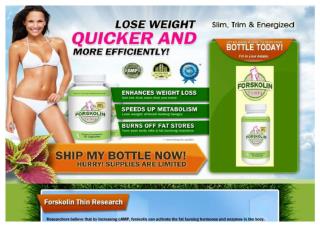 Forskolin Quickly Rising Within the Weight Loss Circles
