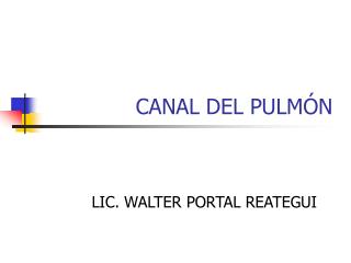 canal del pulm n