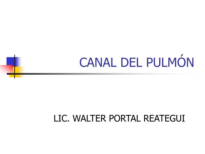 canal del pulm n