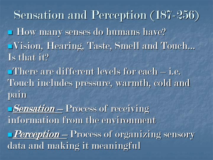 sensation and perception 187 256