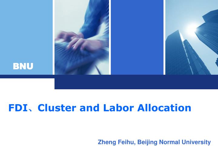 fdi cluster and labor allocation