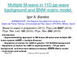 Multiple M-wave in 11D pp-wave background and BNM matrix model. - slide 1