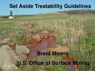 Set Aside Treatability Guidelines