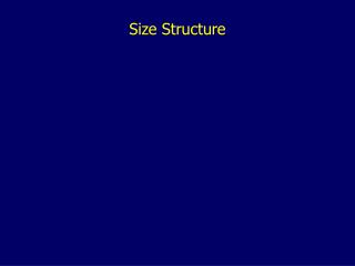 Size Structure
