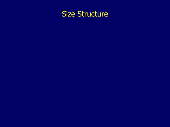 size structure