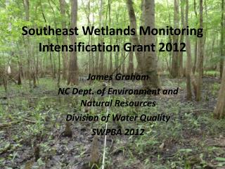 Southeast Wetlands Monitoring Intensification Grant 2012