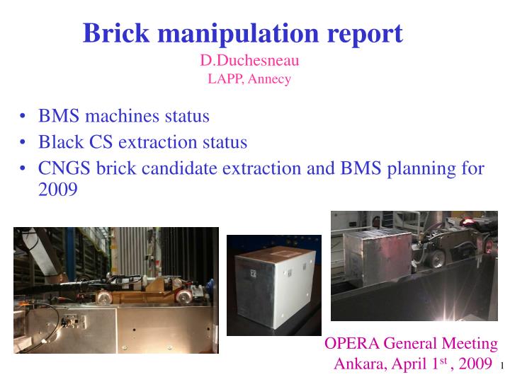 brick manipulation report