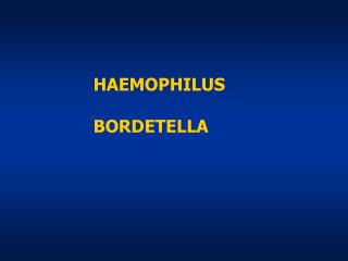 HAEMOPHILUS BORDETELLA