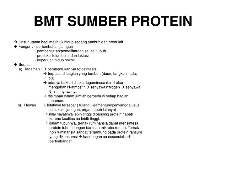 bmt sumber protein