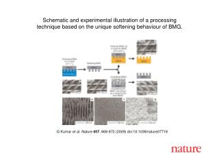 G Kumar et al. Nature 457 , 868-872 (2009) doi:10.1038/nature07718