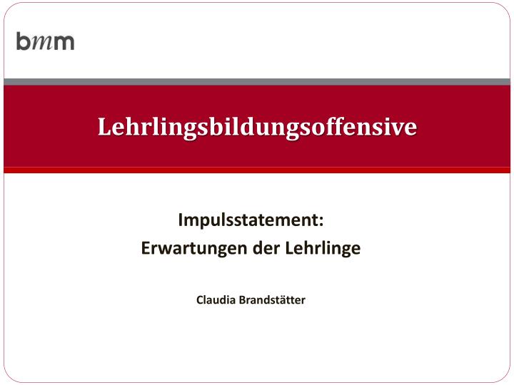 impulsstatement erwartungen der lehrlinge claudia brandst tter