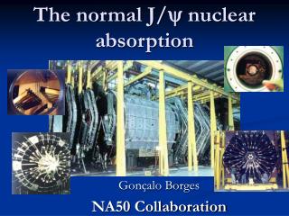 The normal J/ y nuclear absorption