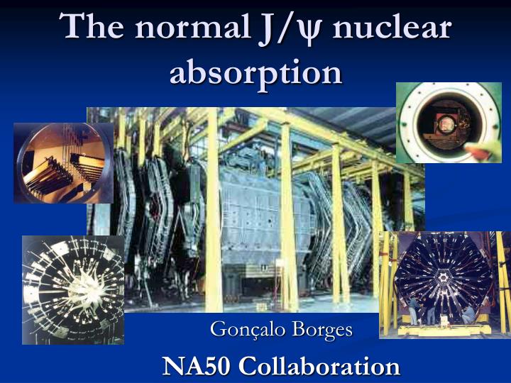 the normal j y nuclear absorption
