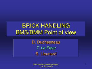 BRICK HANDLING BMS/BMM Point of view
