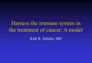 Harness the immune system in the treatment of cancer: A model