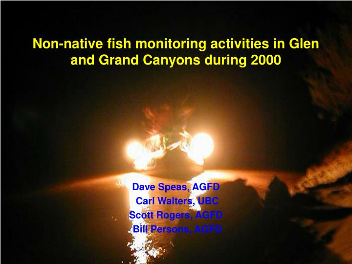 non native fish monitoring activities in glen and grand canyons during 2000