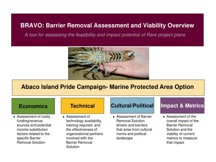 bravo barrier removal assessment and viability overview