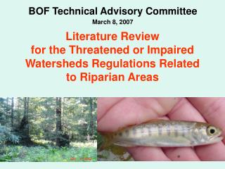 Literature Review for the Threatened or Impaired Watersheds Regulations Related to Riparian Areas