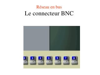 r seau en bus le connecteur bnc