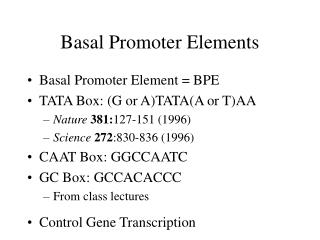 Basal Promoter Elements