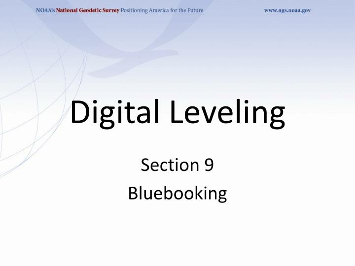 digital leveling