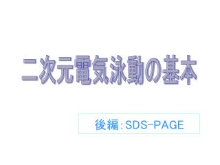 sds page