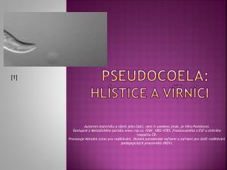pseudocoela hl stice a v n ci