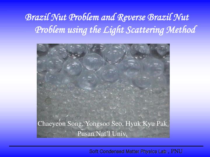 brazil nut problem and reverse brazil nut problem using the light scattering method