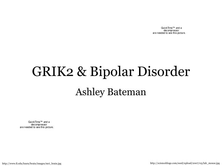 grik2 bipolar disorder