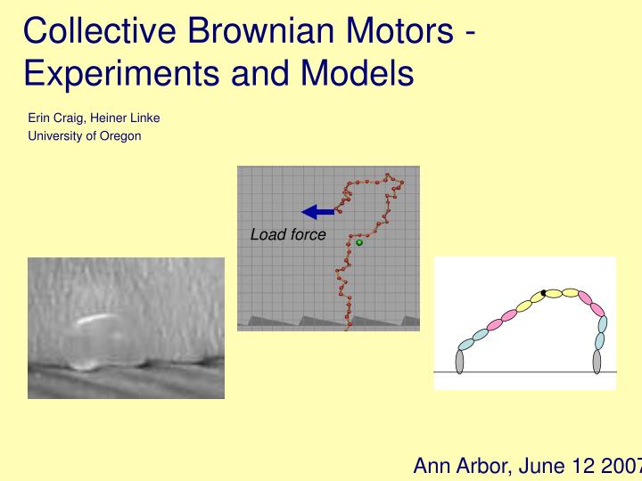 collective brownian motors experiments and models