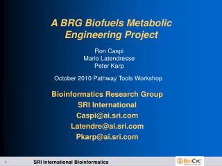 A BRG Biofuels Metabolic Engineering Project