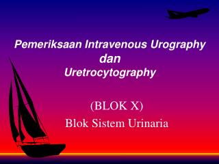 Pemeriksaan Intravenous Urography dan Uretrocytography