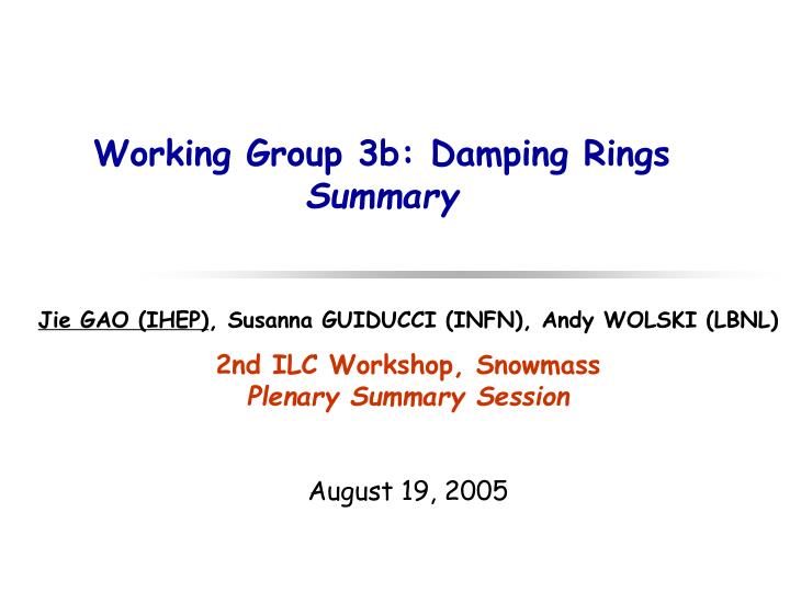 working group 3b damping rings summary