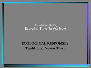 Consultative Meeting Eco-city: Time To Act Now