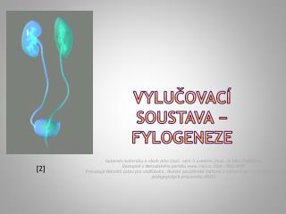 vylu ovac soustava fylogeneze