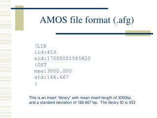AMOS file format (.afg)