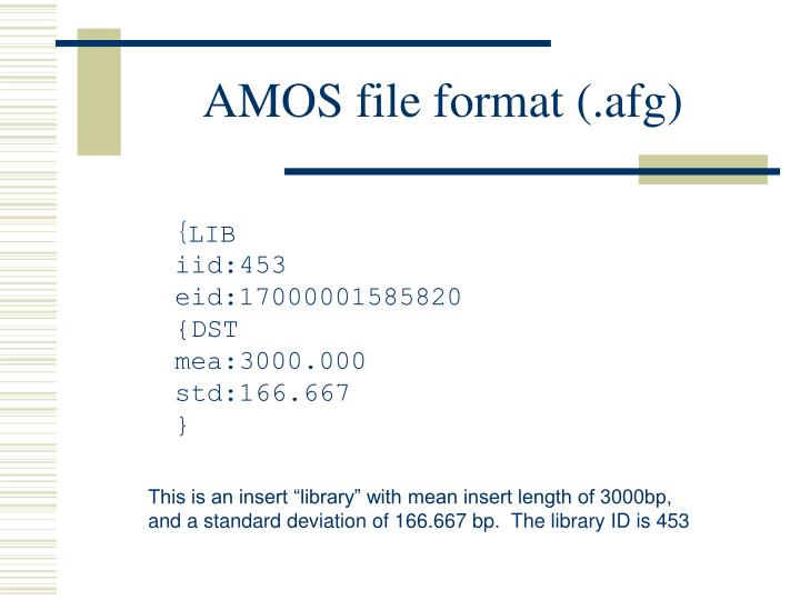 amos file format afg