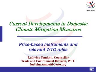 Current Developments in Domestic Climate Mitigation Measures