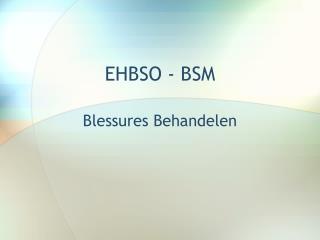 ehbso bsm