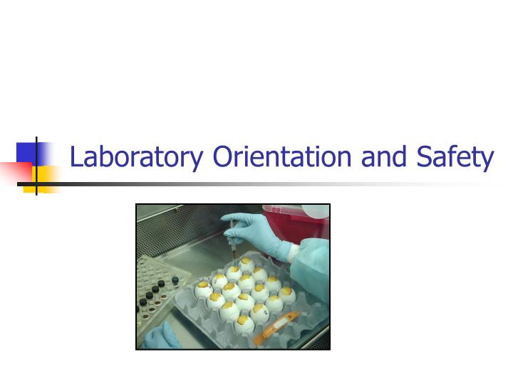laboratory orientation and safety