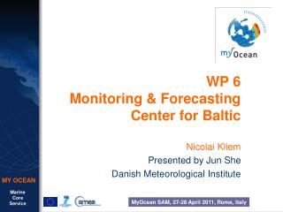 WP 6 Monitoring &amp; Forecasting Center for Baltic