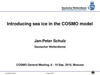 Introducing sea ice in the COSMO model