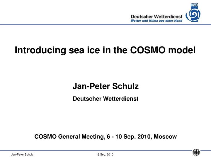 introducing sea ice in the cosmo model