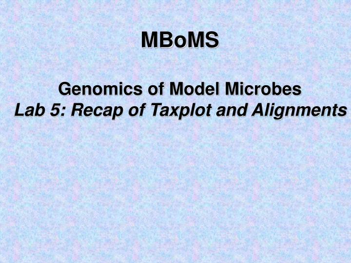 mboms genomics of model microbes lab 5 recap of taxplot and alignments