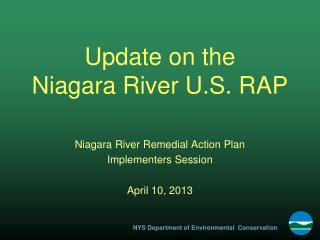 Update on the Niagara River U.S. RAP