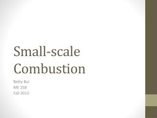 Small-scale Combustion