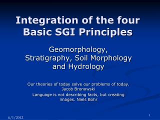 Integration of the four Basic SGI Principles