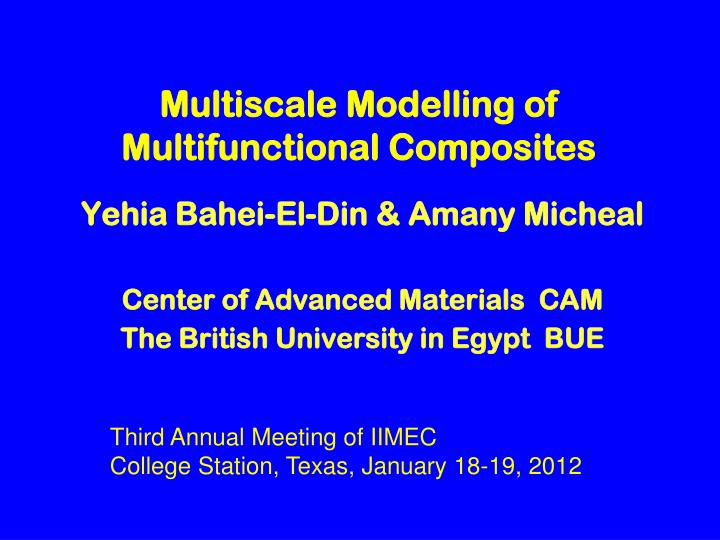 multiscale modelling of multifunctional composites