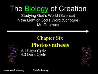 Chapter Six Photosynthesis 6.1 Light Cycle 6.2 Dark Cycle