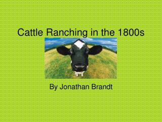 Cattle Ranching in the 1800s